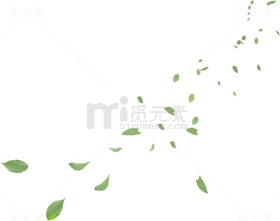 绿色叶子漂浮装饰图片