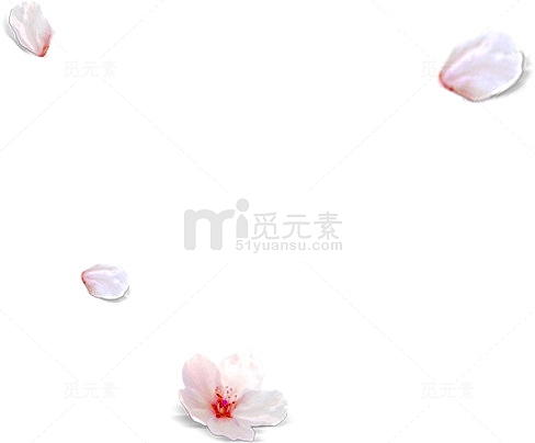 樱花花朵花瓣漂浮装饰