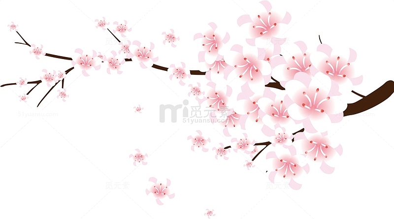 粉红花朵花枝樱花装饰
