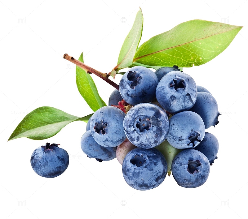 蓝莓新鲜水果