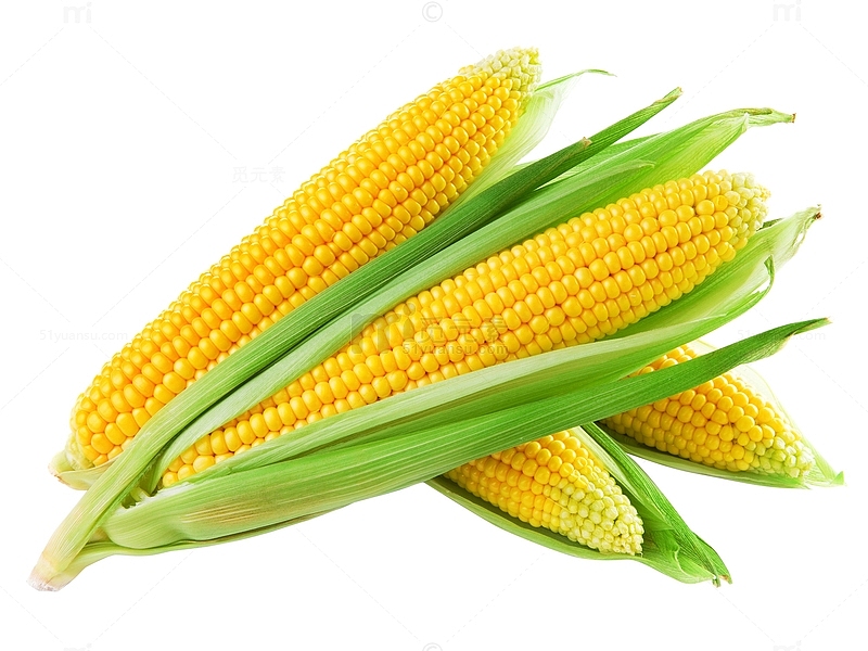 玉米美食图片