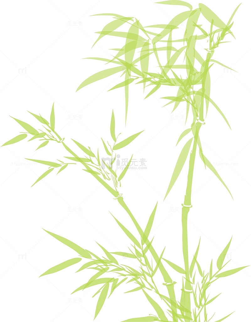 粽子节绿色水彩竹子竹叶