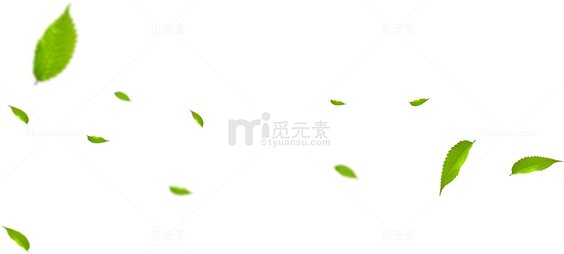 绿叶叶子漂浮装饰图片