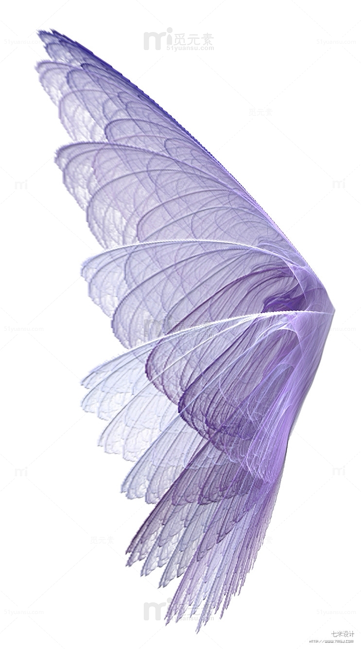 紫色透明翅膀