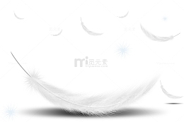 白色轻柔羽毛