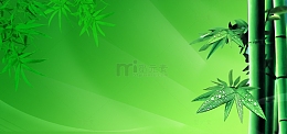 唯美背景竹子底纹