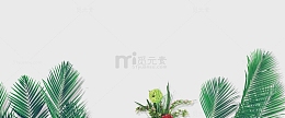 简约清新背景