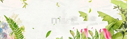春季背景