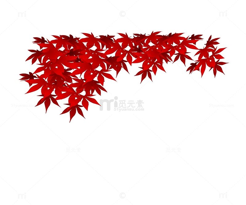 红色枫叶素材图片