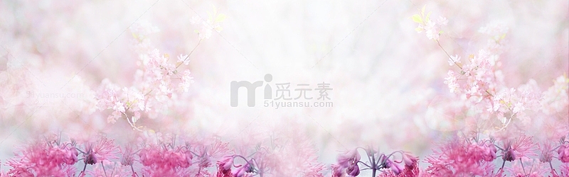 紫色植物花卉场景图