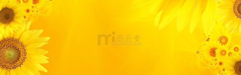 绚丽金黄色向日葵海报背景