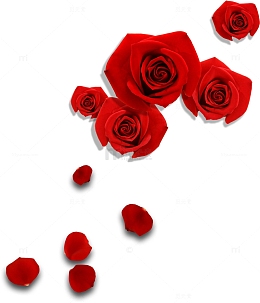 散布红色玫瑰花情人节元素