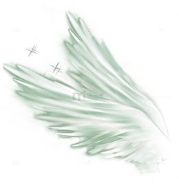 手绘白色翅膀羽毛七夕情人节