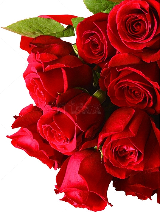 红色玫瑰花束素材七夕情人节