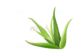 芦荟化妆品淘宝直通