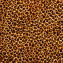 豹纹背景图案