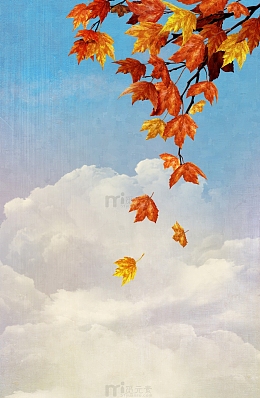 秋天落叶与天空