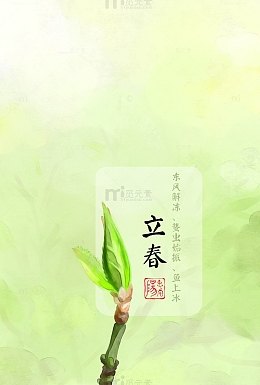 绿色树叶节气立春