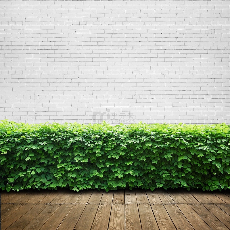 小清新砖墙背景与绿叶素材图
