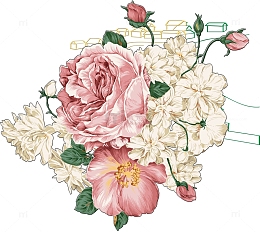 粉白色牡丹花丛中秋手绘