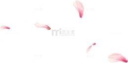 粉白色花瓣教师节