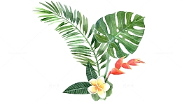 花朵树叶免抠植物素材图片