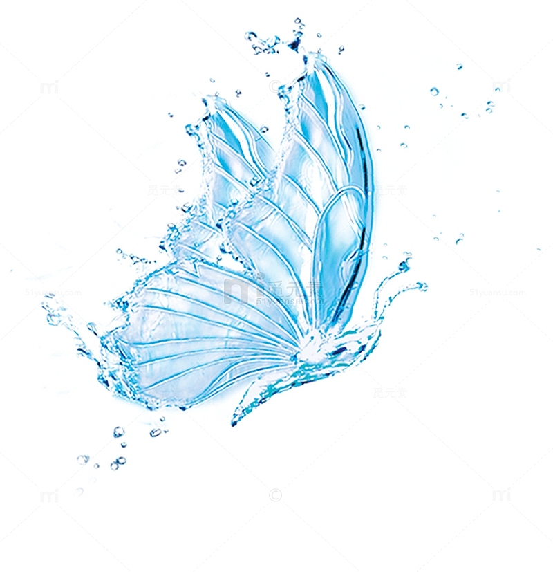 蓝色水花漂亮的蝴蝶