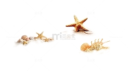 搁浅在沙滩的海星和海螺