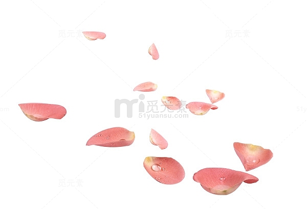 飘落的玫瑰花瓣粉色水滴