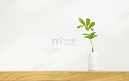 室内静物电脑壁纸盆栽