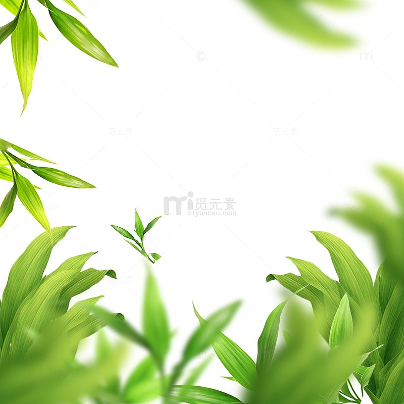 绿色高斯模糊植物茶叶