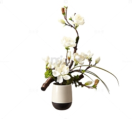 种着一朵鲜花的花瓶