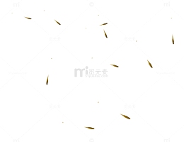 浪漫蒲公英热带雨林丛林婚礼图片