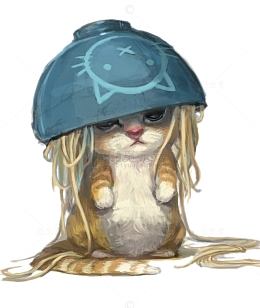 顶着碗的可爱猫