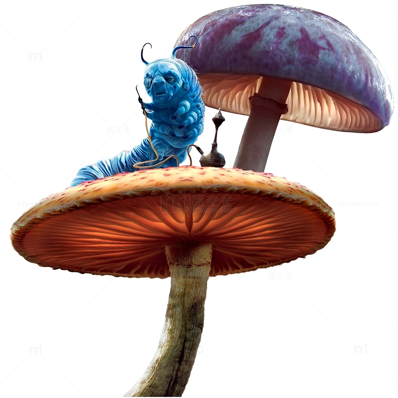 童话里的蘑菇