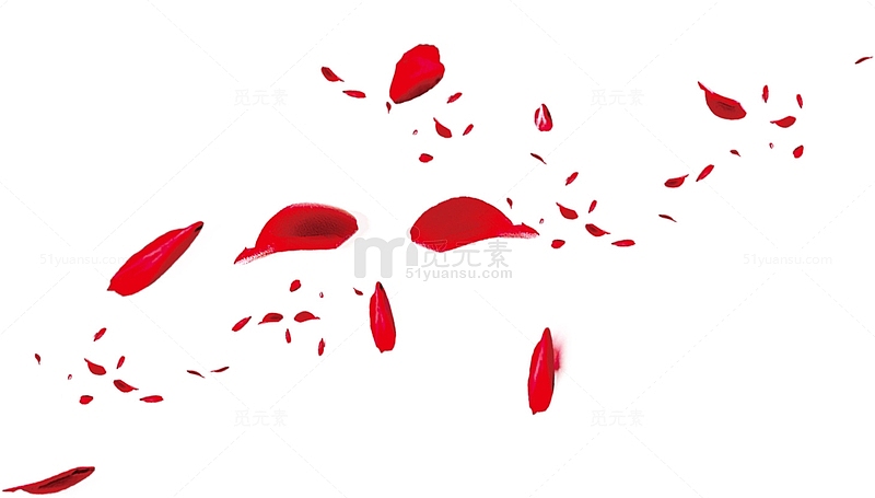 随风飘扬的红色玫瑰花花瓣
