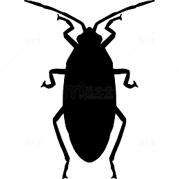Roach 图标