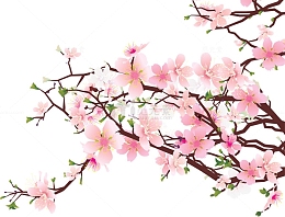 粉色桃花花枝素材手绘