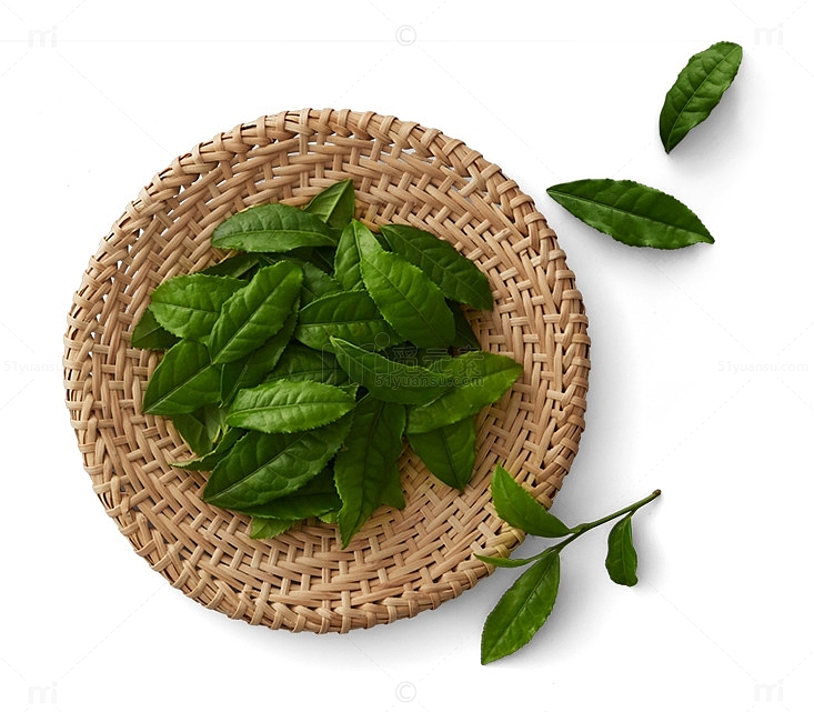 绿色木盘晾晒茶叶