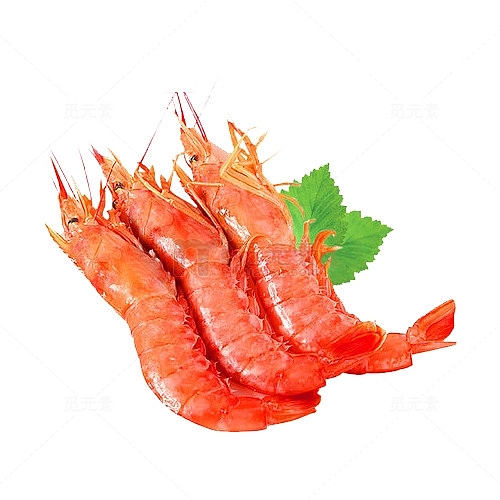 进口红虾