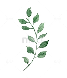 圣诞节手绘花纹素材