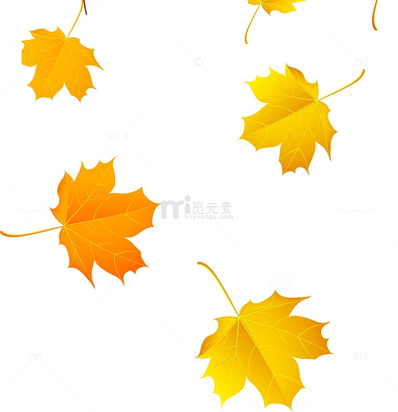 黄色手绘秋季枫叶装饰