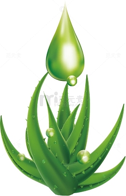 芦荟矢量图