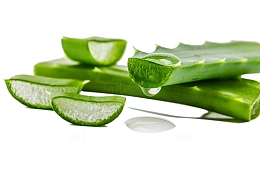 芦荟