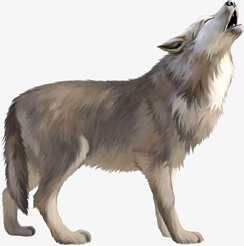 狼创意素材_狼创意图片元素-觅元素