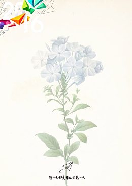 简历模板