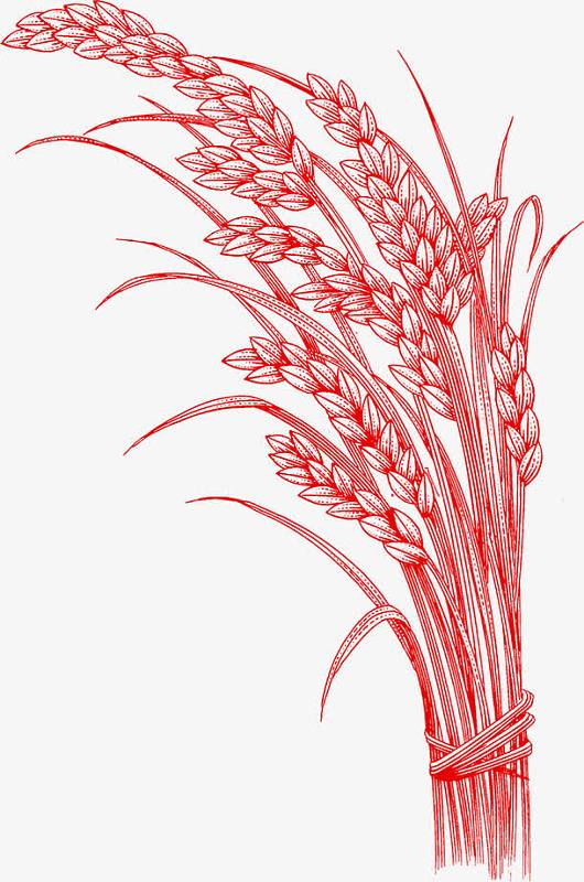 稻穗手绘图片-稻穗手绘素材-觅元素