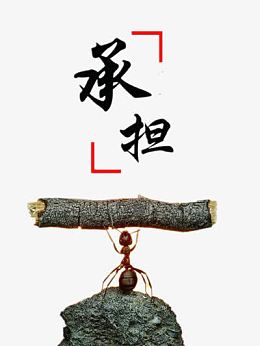 承担