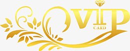 vip素材