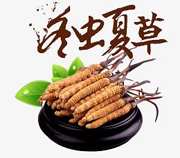 冬虫夏草